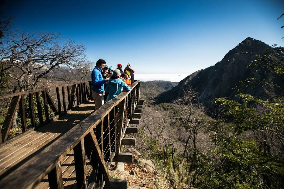 Reserva nacional Altos Lircay 